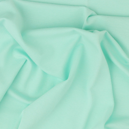 JERSEY WISKOZA 13-01 / MINT R