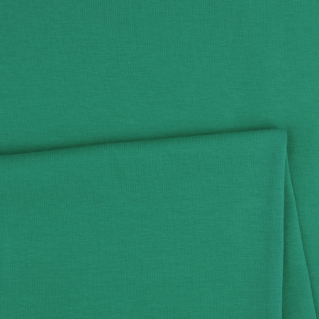 SINGIEL JERSEY 200 24-57 / ABUNDANT GREEN R