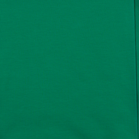 SINGIEL JERSEY 200 14-02 / IRISH GREEN R