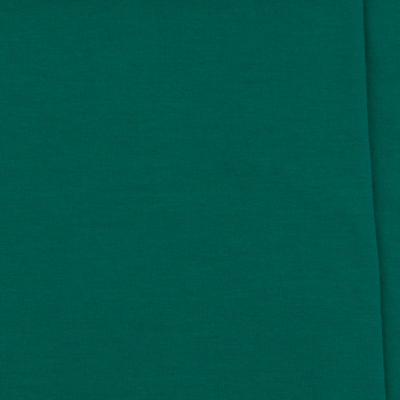 SINGIEL JERSEY 200 24-02 / KELLY GREEN R